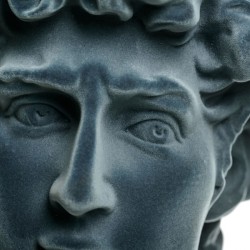 Busto David Di Michelangelo floccato azzurro