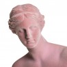 Statua Venere Di Milo floccato rosa