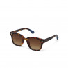 Okkia sole modello giovanni ok012 colre havana blue