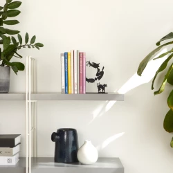 Fermalibri Magic Balvi