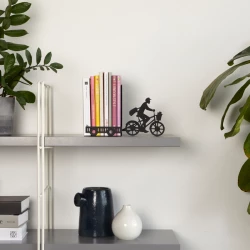 fermalibri postman balvi