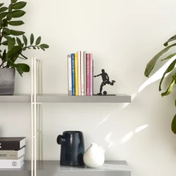 Balvi Fermalibri Goal Kick