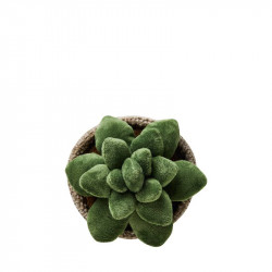 Fermaporta Vaso Cactus