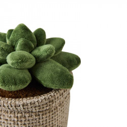 Fermaporta Vaso Cactus