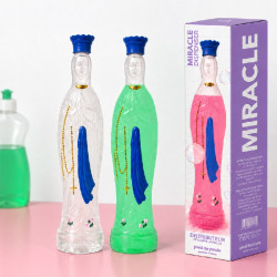 Dispenser per detersivo piatti a forma di Madonna di Lourdes - Miracolo